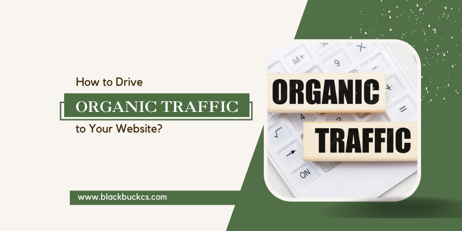 Drive Organic Traffic to Your Website