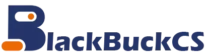 BlackBuckCS: Digital Marketing Agency in India